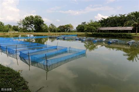 池塘養魚 凶宅查詢